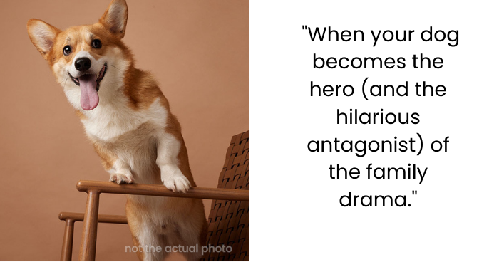 I Trained My Dog to Bark at My Mother-in-Law’s Perfume and Don’t Feel Bad About It