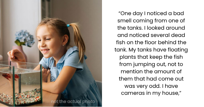 I Caught the Kid I Babysit Pulling Fish Out of My Tank and Leaving Them to Die — Now Her Mom Thinks I’m Overreacting